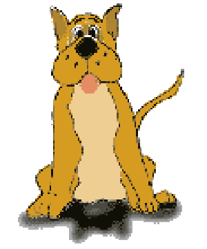big dog 