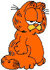 garfield 
